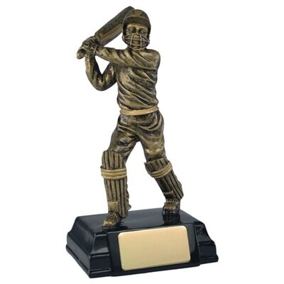 Cricket Batsman Award