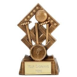 Cricket Stumps & Ball Award