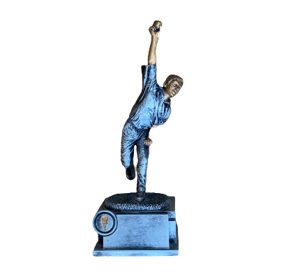 CRICKET BOWLER AWARD