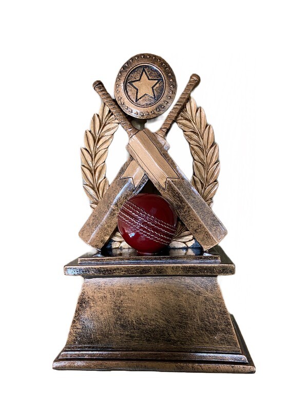 CRICKET BALL AND CROSSED BATS  AWARD