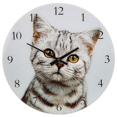 GREY KITTEN SMALL GLASS WALL OR MANTLE CLOCK