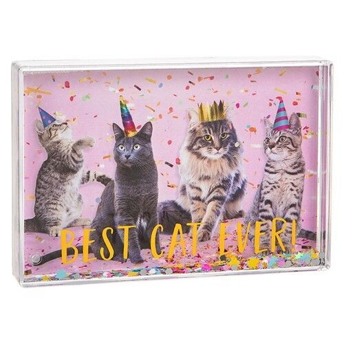 "Best Cat Ever" Glitzy Fun Frame