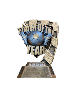 Player of the Year Football Award