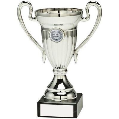 Silver Finish Plastic Trophy Cup on Marble Base