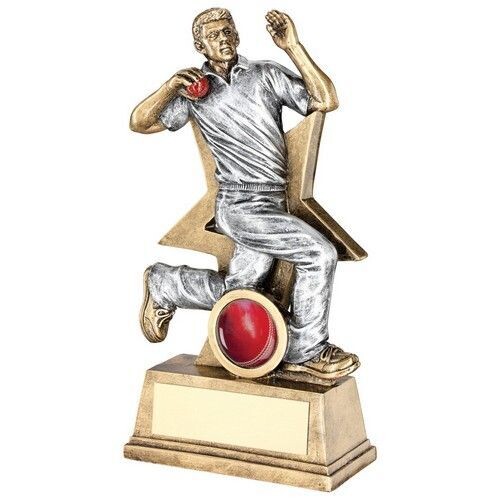 CRICKET BOWLER AWARD