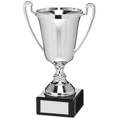 Silver finish plastic trophy cup