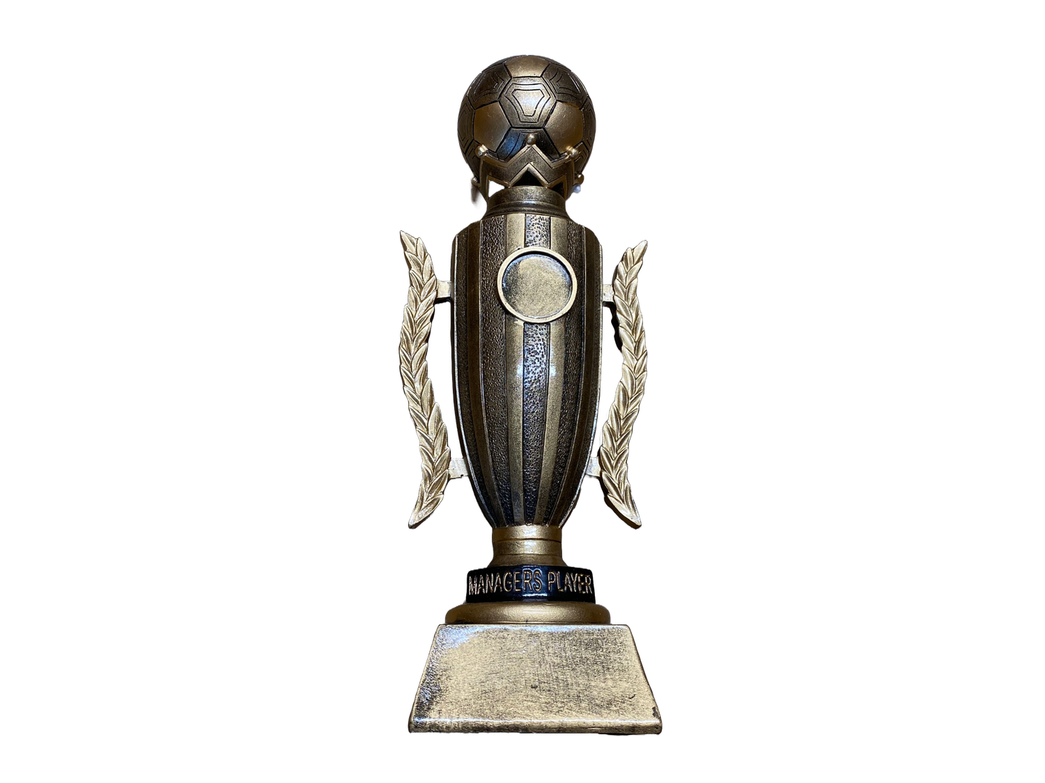 Managers Player  Resin Football Award