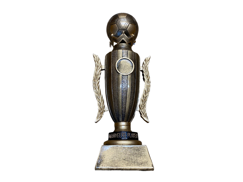 Managers Player  Resin Football Award