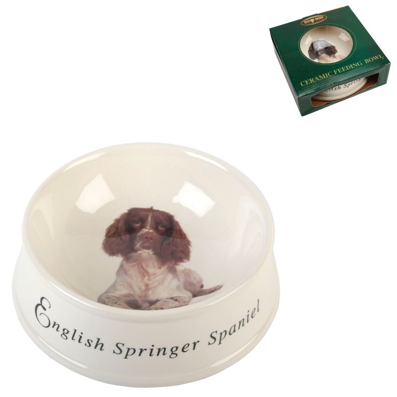 English Springer Spaniel Ceramic Dog Bowl