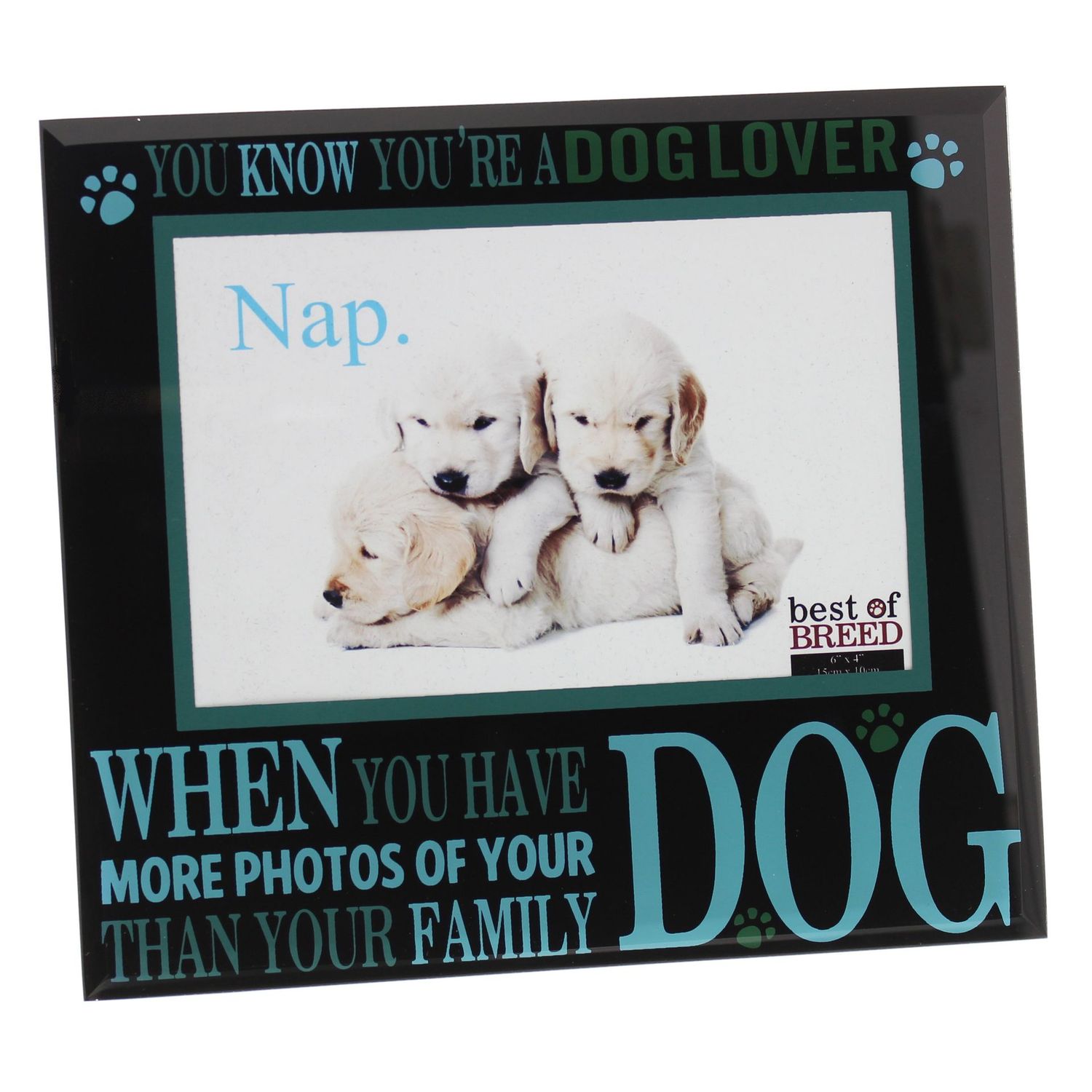 Dog Lover Glass Photo Frame
