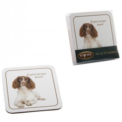 ENGLISH SPRINGER SPANIEL SET OF 4 COASTERS ENGLISH SPRINGER SPANIEL SET OF 4 COASTERS