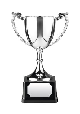 NICKEL PLATED CUP ON HEAVYWEIGHT BASE NICKEL PLATED CUP ON HEAVYWEIGHT BASE