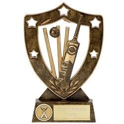 Cricket Bat, Stumps & Ball Award Cricket Bat, Stumps & Ball Award