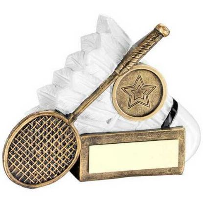 Badminton Shuttlecock and Racket Award