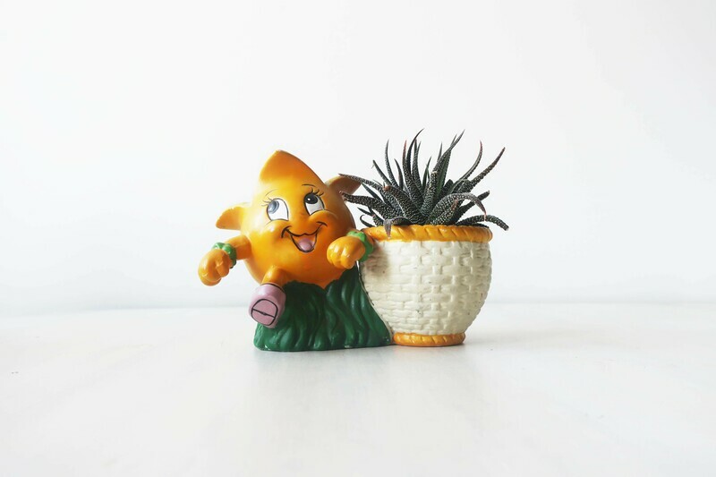 Vintage novelty sweetcorn planter