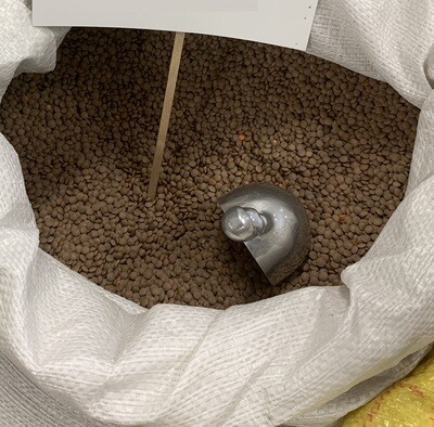 ድፍን ምስር Brown Lentil