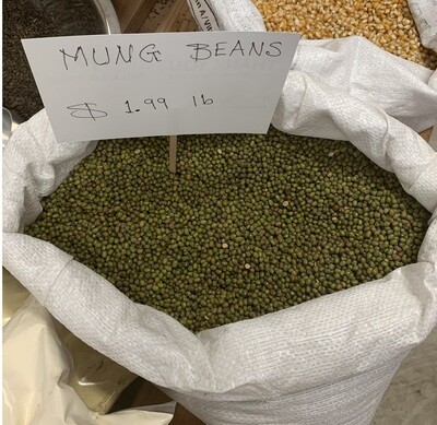 ማሾ Mung Beans
