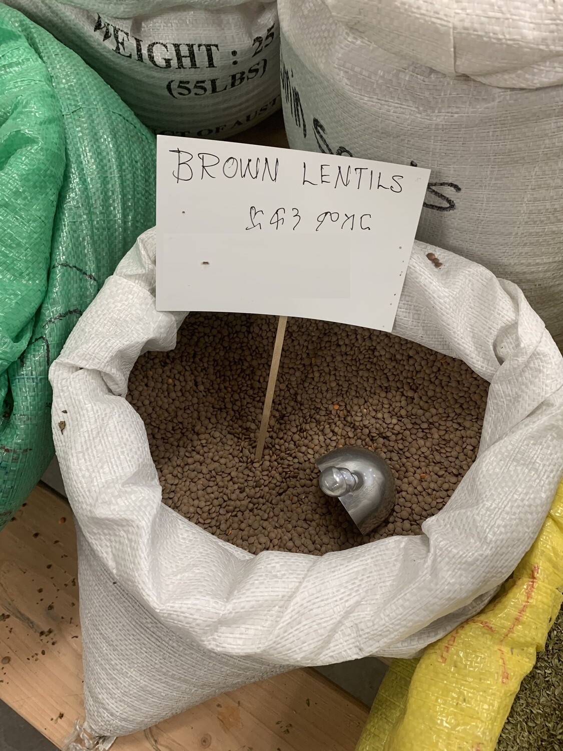 ድፍን ምስር Brown Lentil
