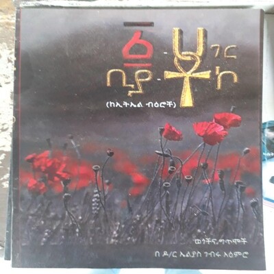 አንድ ሀገር በኤልያስ ገብሩ / By Elias Gebru