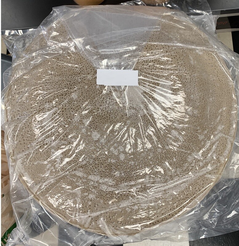 እንጀራ Injera Ethiopian (flat) Bread Enjera (USA only)