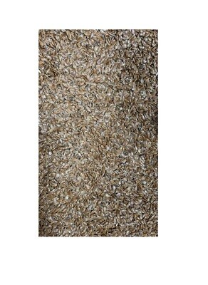 ጥቁር እና ነጭ አዝሙድ Black or White Cumin Tikur ena Nech Azmud