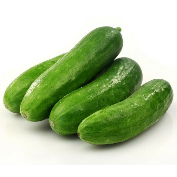 ኩከምበር Cucumber (Ethiopia Only)
