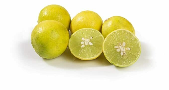 ሎሚ Lemon (Ethiopia Only)