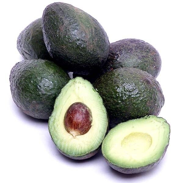 አቡካዶ Avocado (Ethiopia Only)