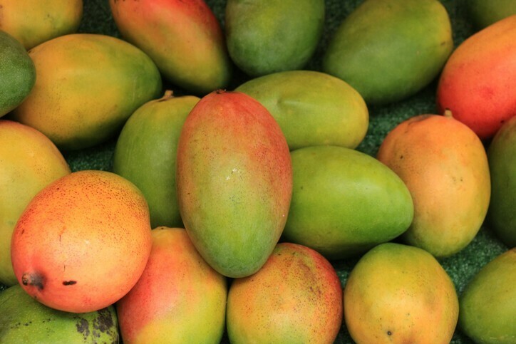ማንጎ Mango (Ethiopia Only)