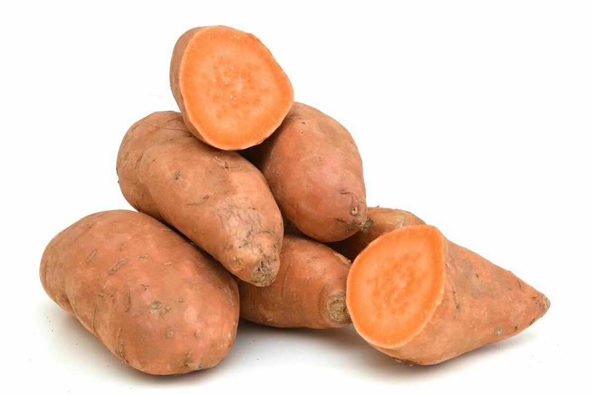 ስኳር ድንች Sweet Potato (Ethiopia Only)