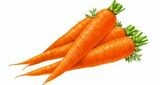 ካሮት Carrot  (Ethiopia Only)