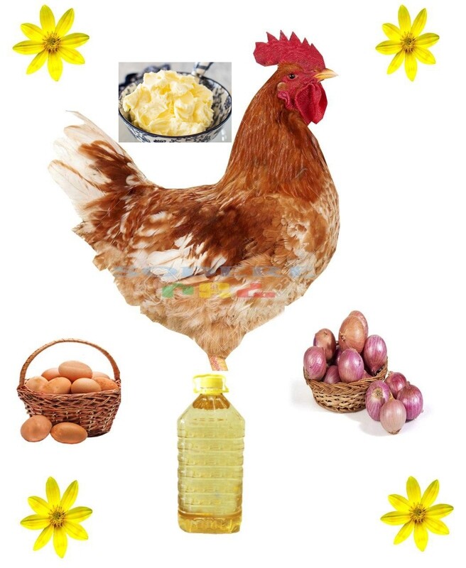 የሶደሬ የፋሲካ በዓል ጥቅል  sodere  Easter holiday (Ethiopia Only)