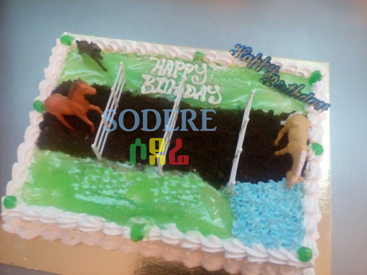 Bilos Birthday Cake (Ethiopia Only)