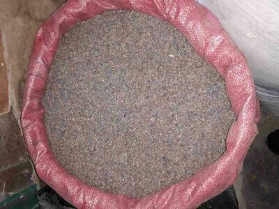 ድፍን ምስር Brown Lentil