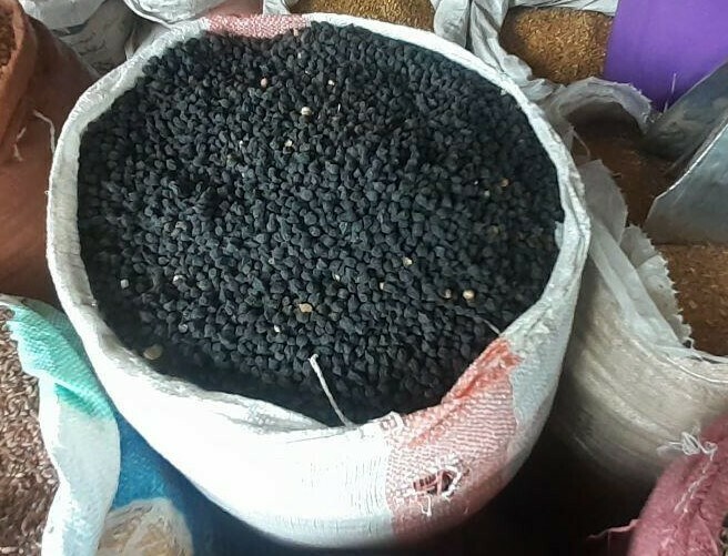 ጥቁር ሽንብራ Black Shinbira