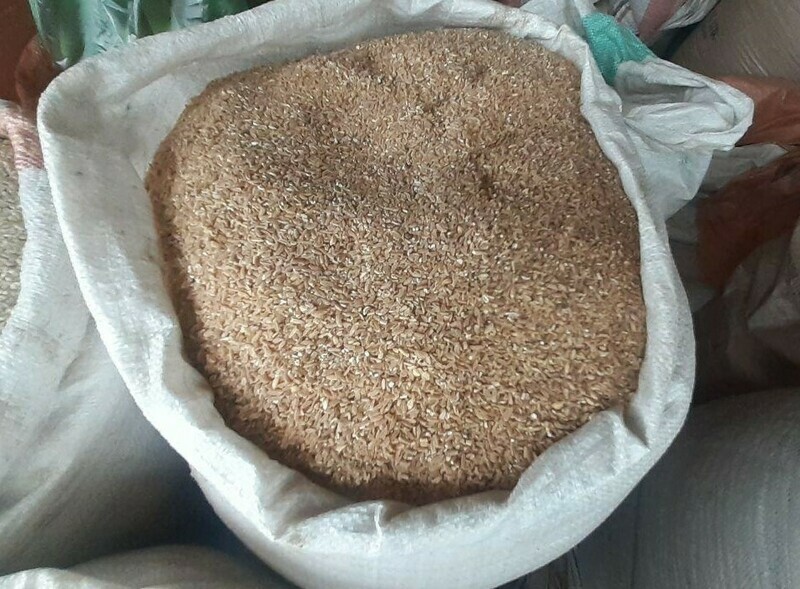 አጃ Rye
