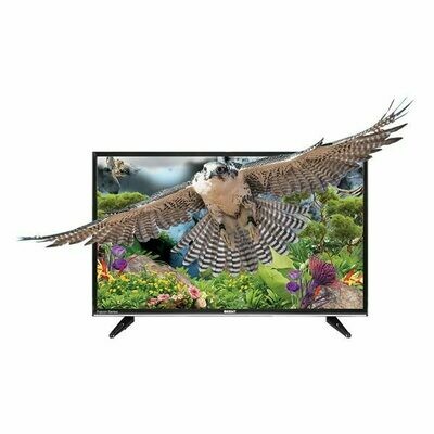 ፋልከን ቴሌቪዥን Falcon Tv
