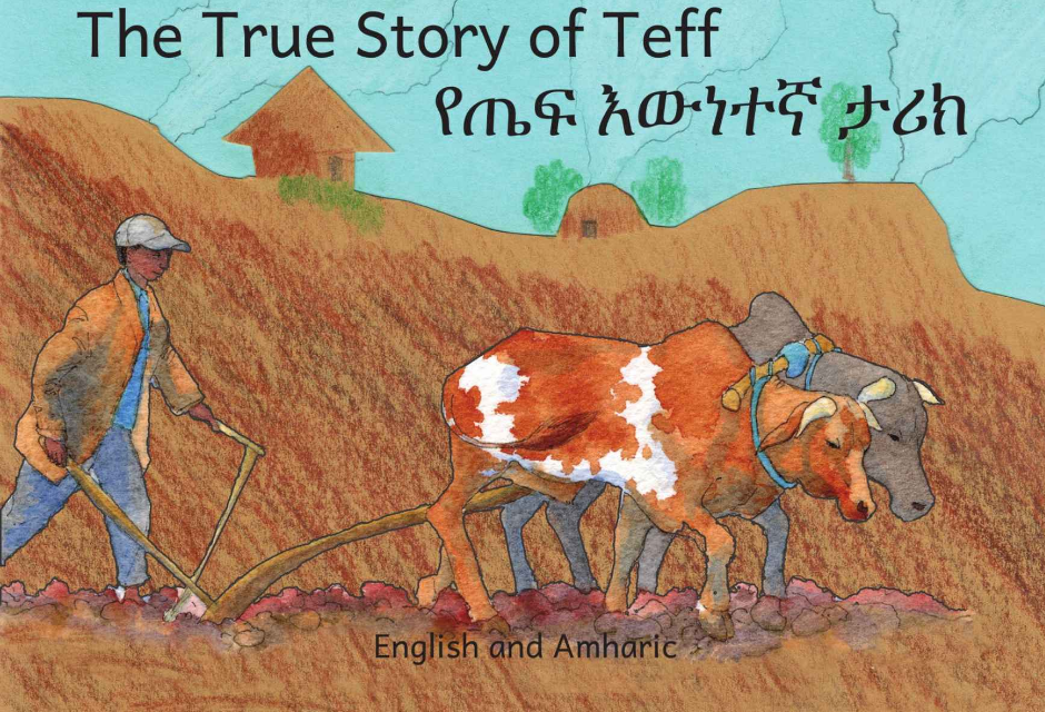 የጤፍ እውነተኛ ታሪክ The True Story of Teff :In English and Amharic