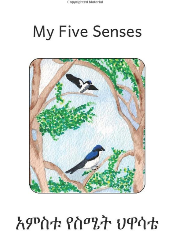 አምስቱ የስሜት ህዋሳቴ My Five Senses :In English and Amharic