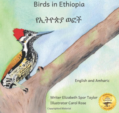 የኢትዮጵያ ወፎች Birds In Ethiopia :In English and Amharic