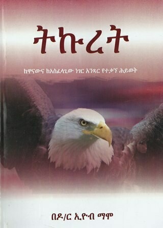 ትኩረት በኢዮብ ማሞ