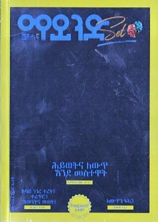 ማይንድ መጽሔፍ በምህረት ደበበ