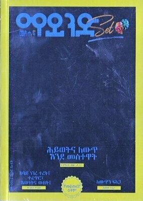 ማይንድ መጽሔፍ በምህረት ደበበ
