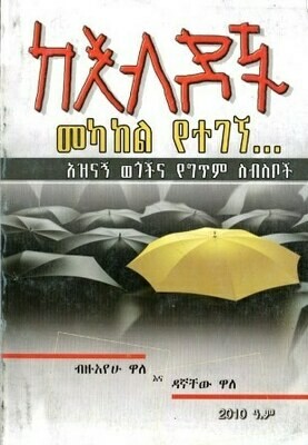 ከእብዶች መካከል የተገኘ በብዙአየሁ ዋለ እና ዳኛቸው ዋለ