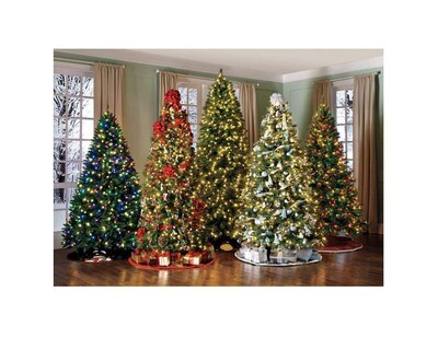 Full Christmas Tree የተሟላ የገና ዛፍ (Ethiopia Only )