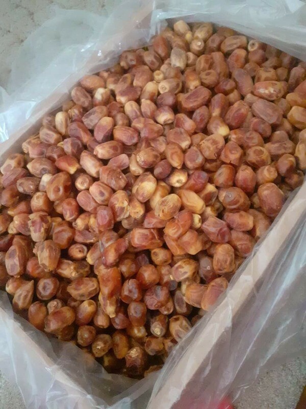 ቴምር Dates