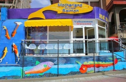 Motherland Salmon ማዘርላንድ ሳልሞን