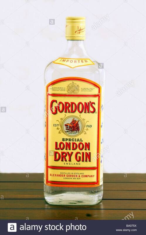 Gordon&#39;s Gin