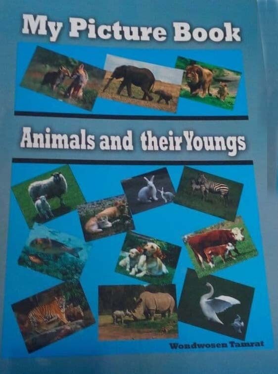 My Picture Book Animal And Their Youngs