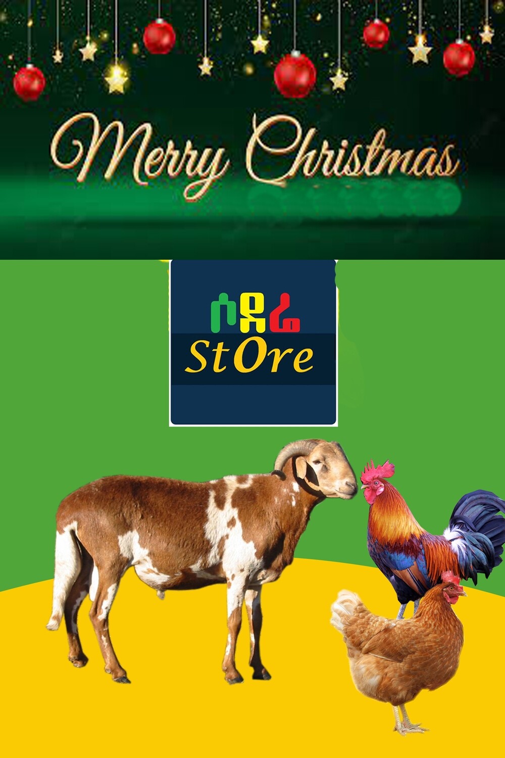 የሶደሬ የገና በአል ጥቅል 2 Sodere Christmas package 2 (Ethiopia Only)